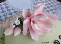 -51-2.-dort-s-magnolii.jpg