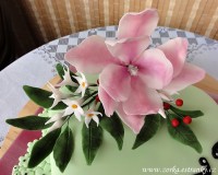 79-1.-dort-srdce-s-magnolii-a-jasminem.jpg