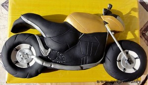 48.-motorka-honda-hornet--cb-600-f.jpg